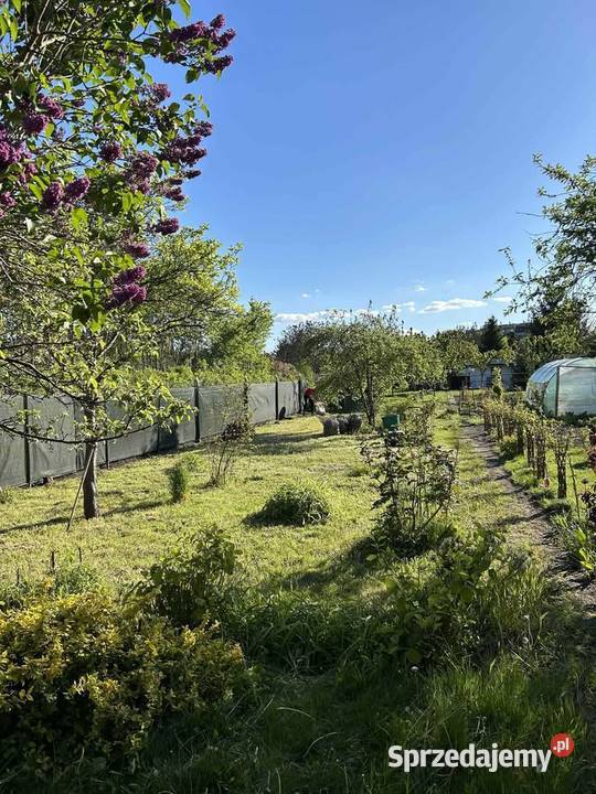 Działka ROD Księże Małe dolnośląskie Wrocław sprzedam