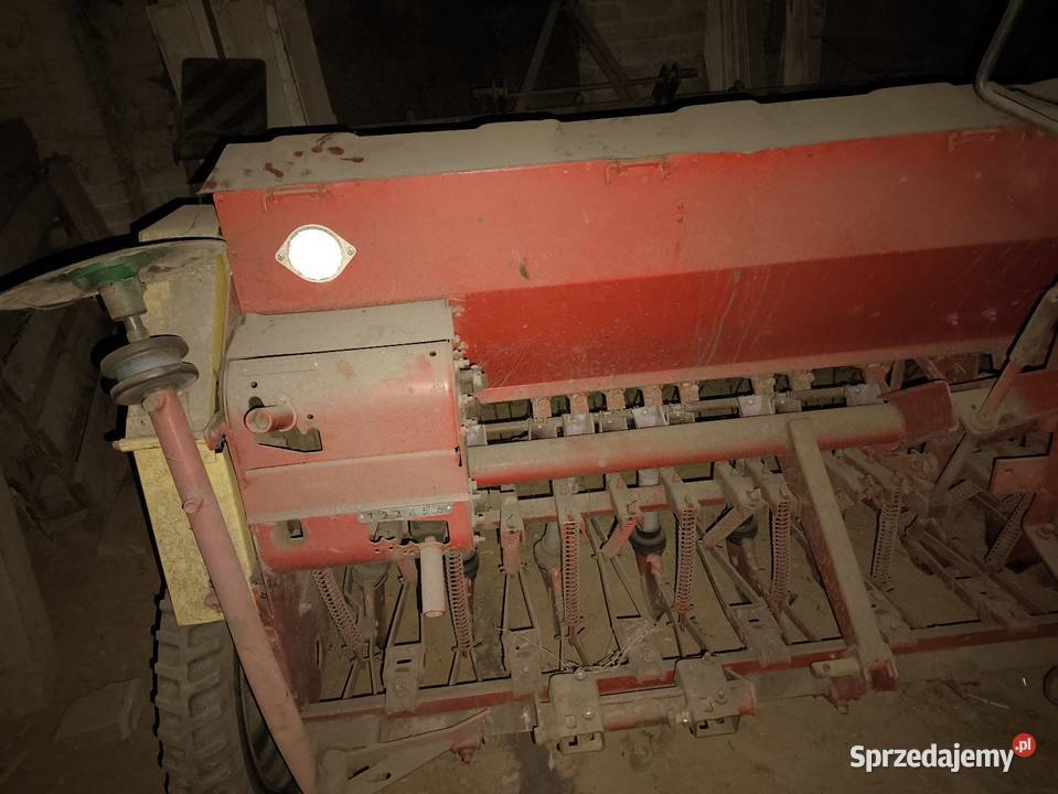 Siewnik Poznaniak 27 Grabiec