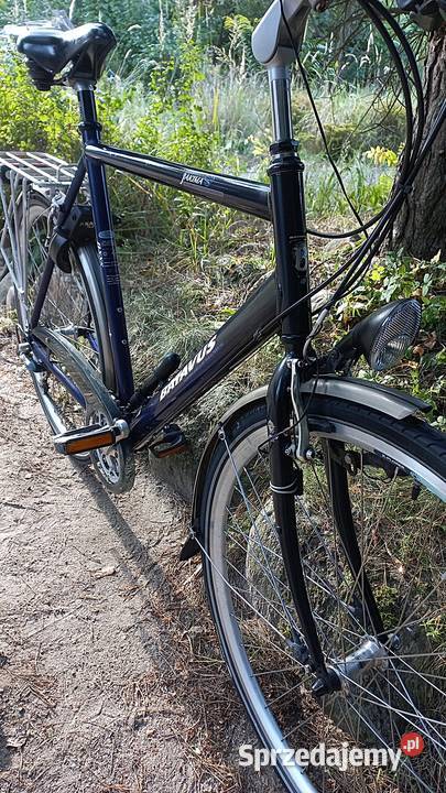 Alu Rower Miejski Męski Holender Batavus Jakima Wołów