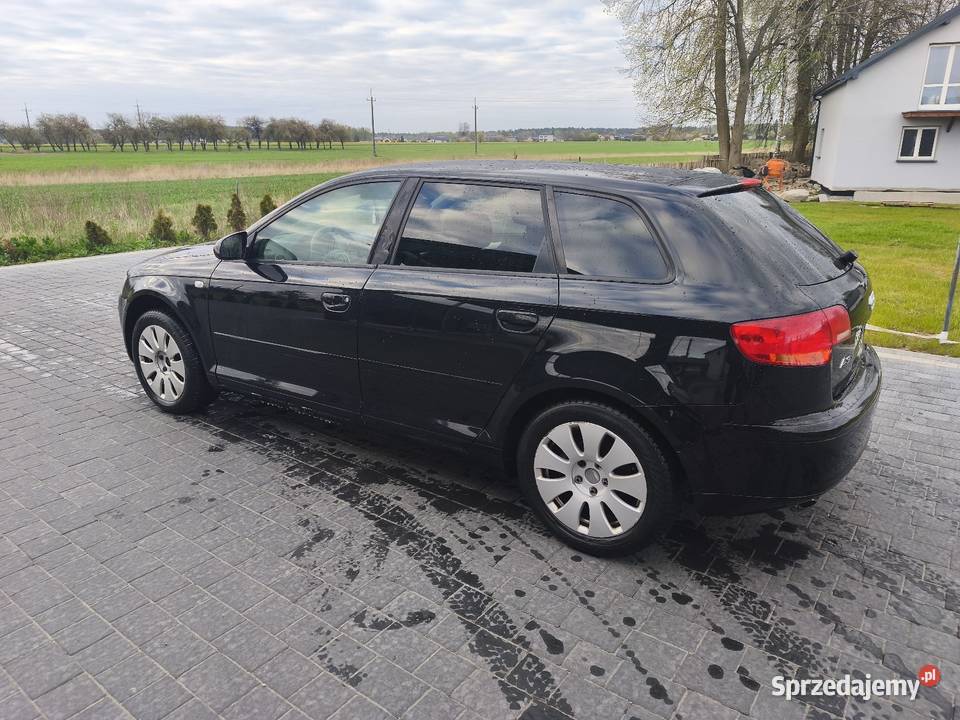 Audi A3 8P 20Tdi Dobryń-Kolonia