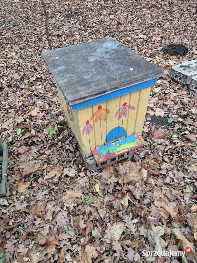 Syndyk sprzeda dwie pasieki ule 35 i 17 Roszkowo