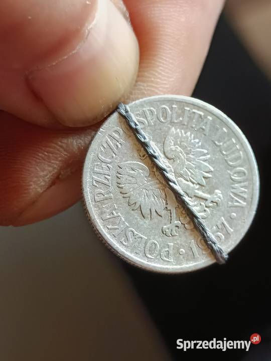 Sprzedam monete 50 groszy 1957 lekka skretka zaq Chełm