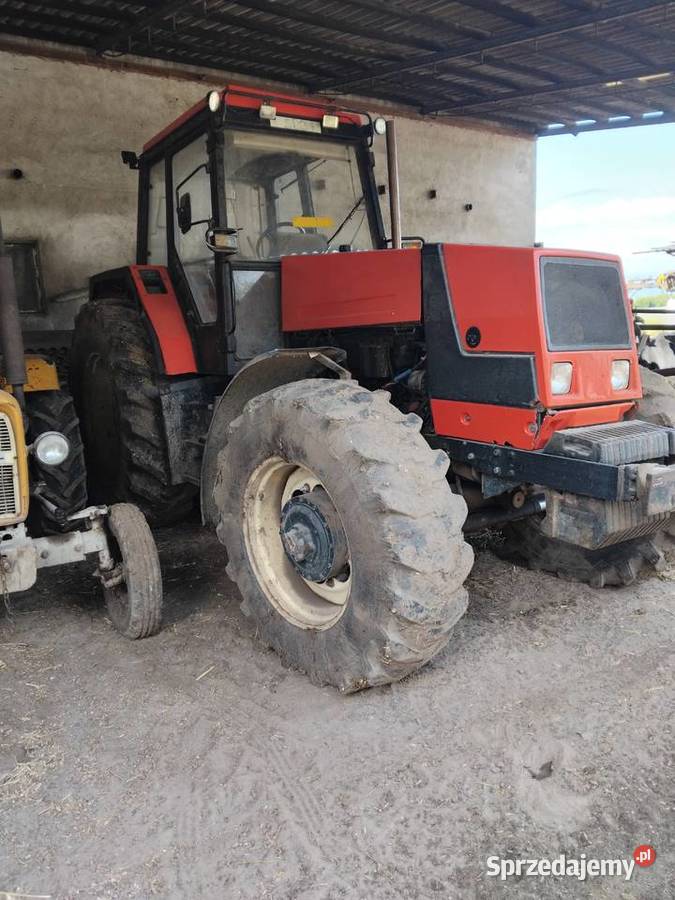 Zetor zts Mogilno sprzedam