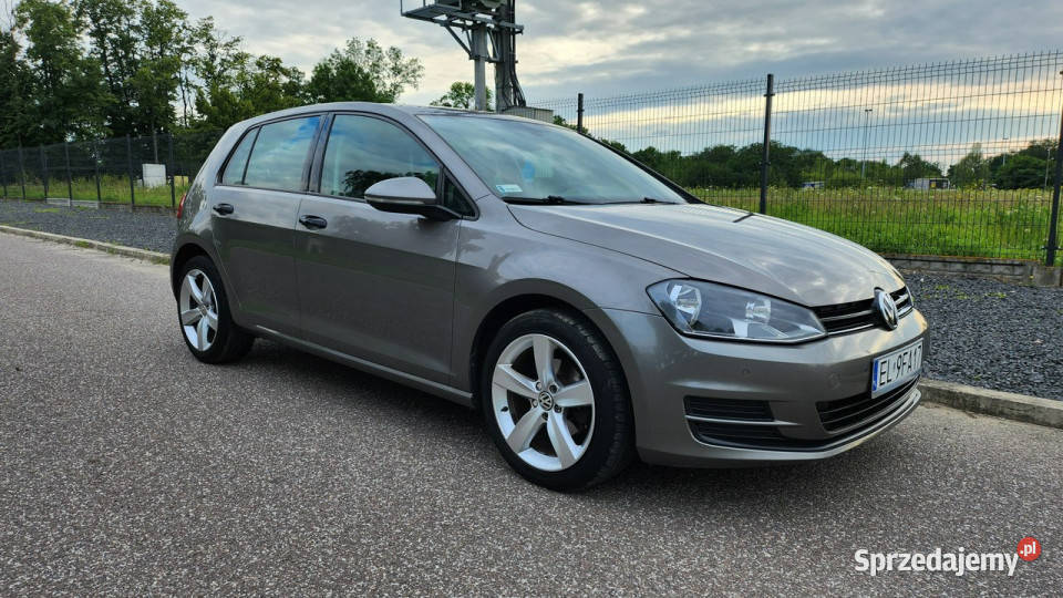 Volkswagen Golf 2017 12TSi Salon 110 Klima 2 wł Golf Pabianice