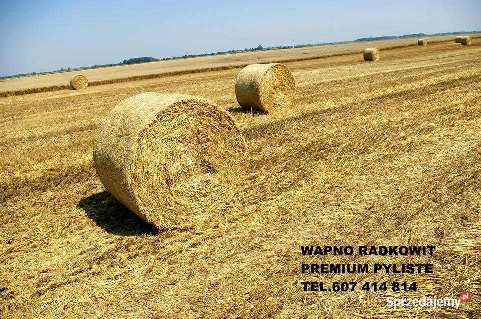 WAPNO WĘGLANOW0MAGNEZOWE RADKOWIT PREMIUM mazowieckie Żuromin