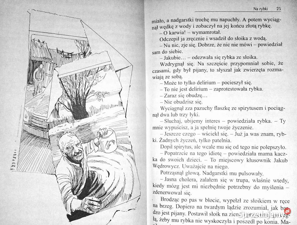Kroniki Jakuba Wędrowycza Andrzej Pilipiuk Rok wydania 2002 Chełm