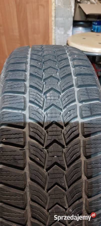 Opony Dębica Frigo HP2 19555 R16 4 bądź 2 8 mm Kartuzy