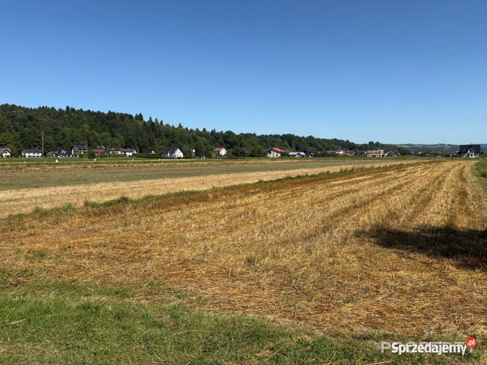 Sprzedam działka Podegrodzie 2700 metrów małopolskie