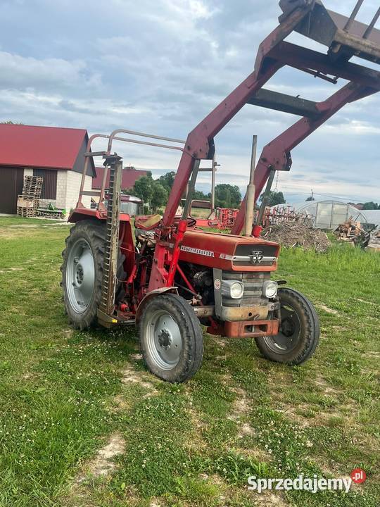 Massey Ferguson lubelskie Zamch