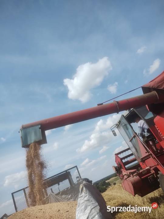 Kombajn zbożowy MF 535
