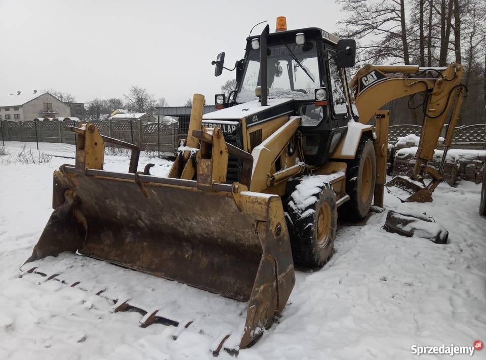 Cat 428b Orzechów