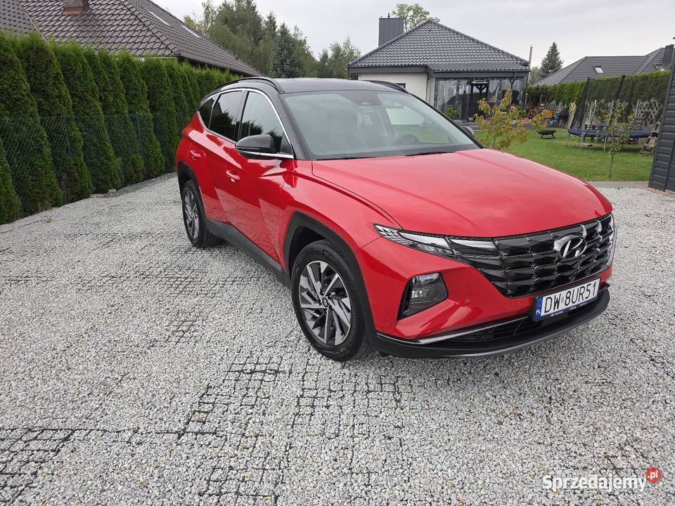 Hyundai tuscon 16 TGDI 48V MIEKA HYBRYDA Tucson Kościan