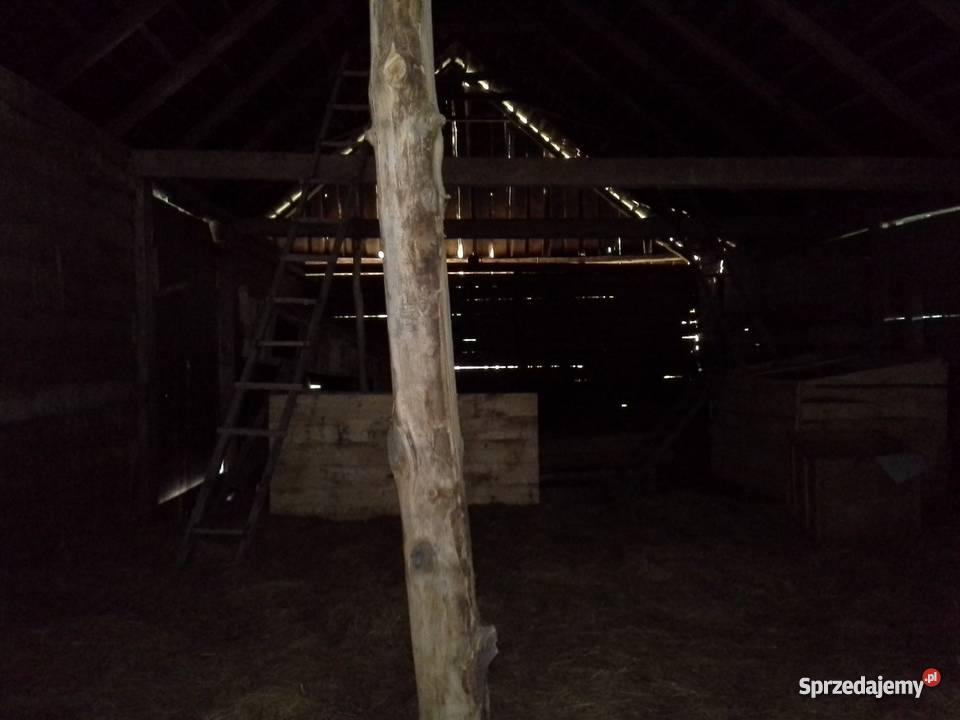stodołę z bala sosnowego do rozbiórki podlaskie