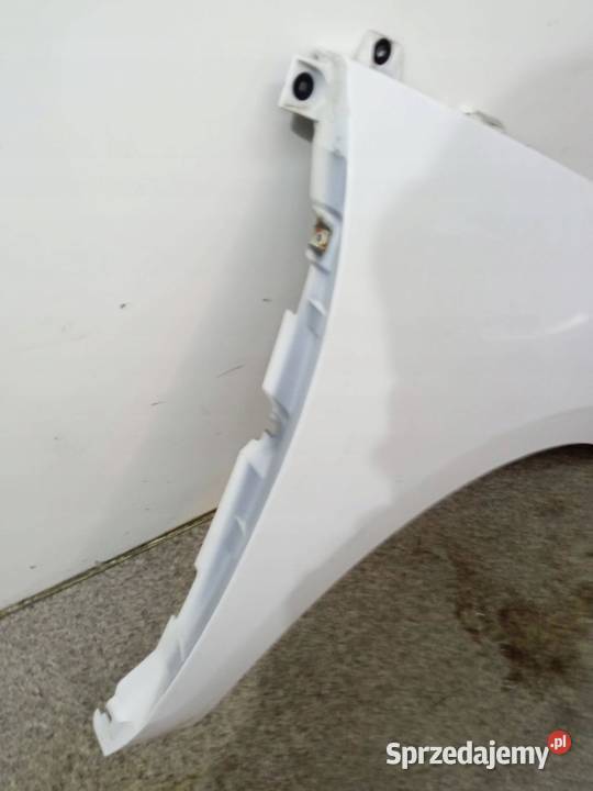 BŁOTNIK PRAWY PRZÓD DV369 Renault Scenic III