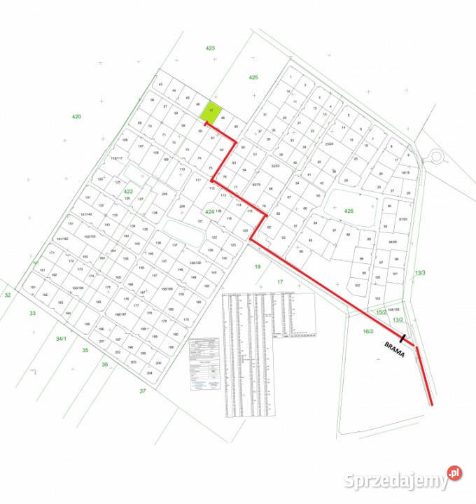 Działka ROD Biała Brzoza Sprzedaż Wola Prażmowska