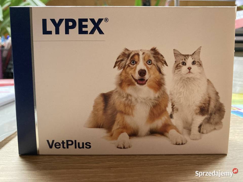 Lypex Vetplus 60 kapsułek w opakowaniu Warszawa