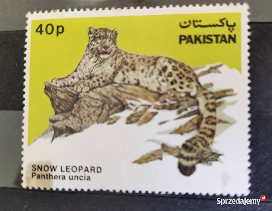 Znaczek Pakistan Snow Leopard zachodniopomorskie