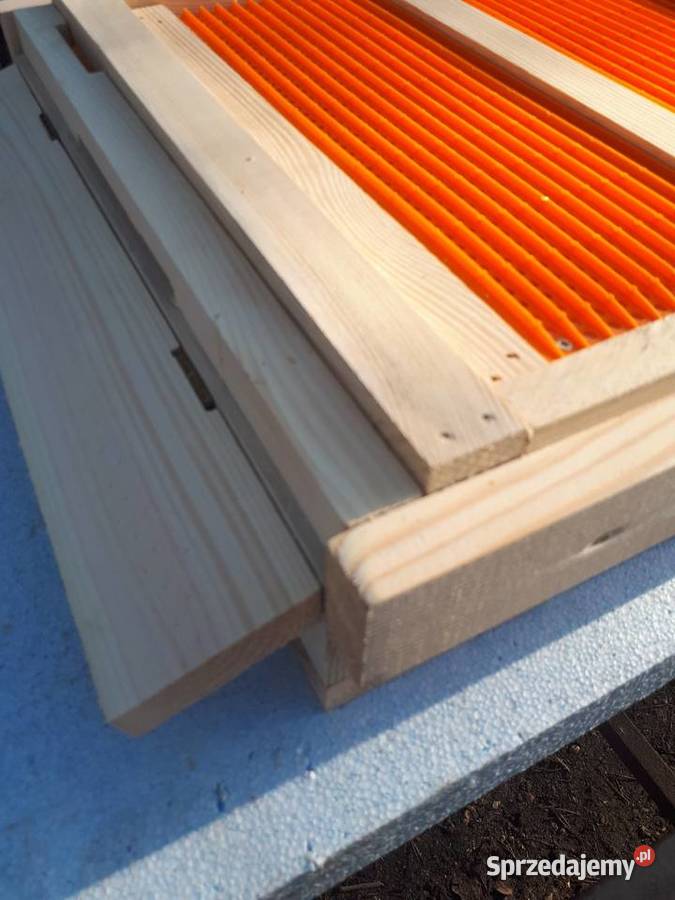 Ule wielkopolskie dennica z poławiaczem pyłku Tanina