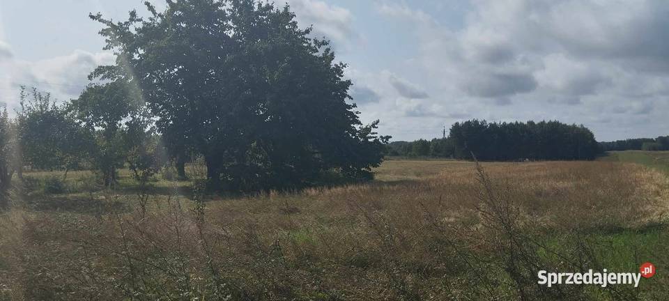 Sprzedam działkę rolno budowlaną 56ar