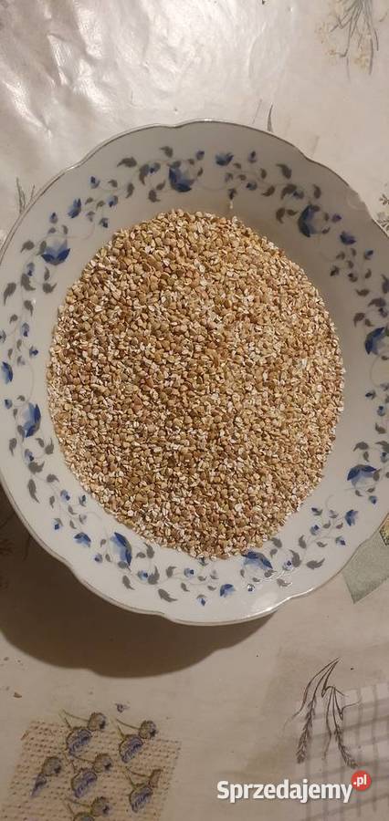 Kasza gryczana eco certyfikat podkarpackie Leżajsk