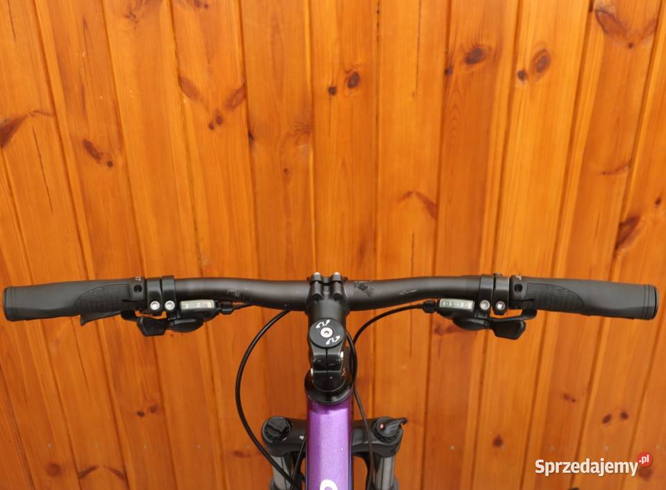 Rower młodzieżowy Bixs Mariposa H 34 Milanówek