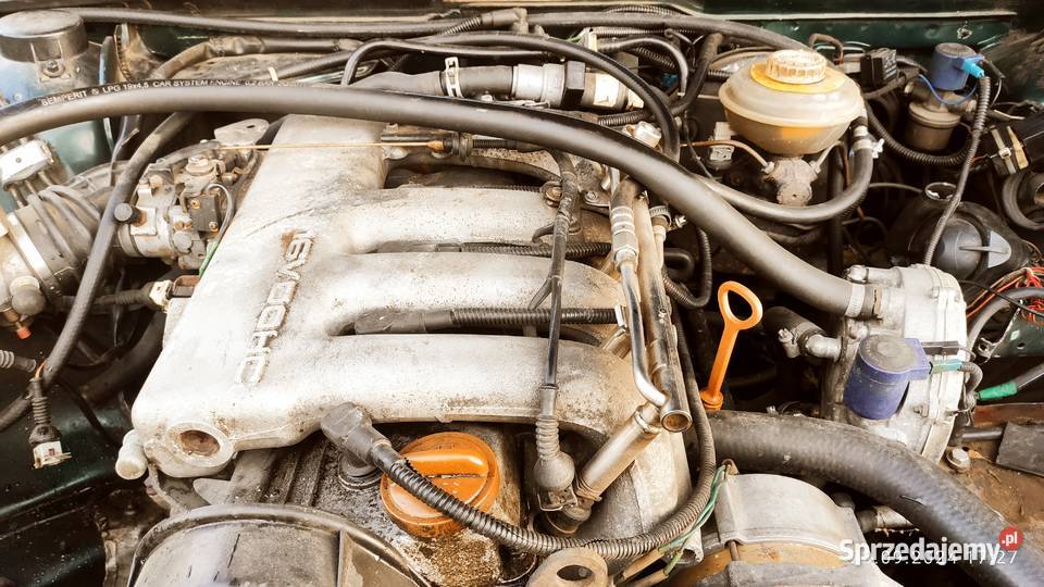 Blos brc podkarpackie Strzyżów