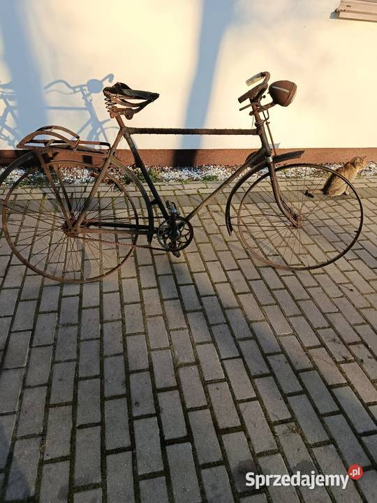 Rower z 30 lat RIEMANN Wołów