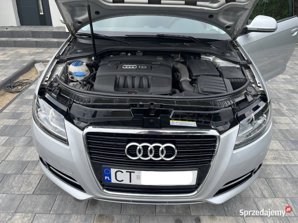 Audi A3 16MPI Lift Zadbana Toruń