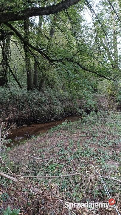 Sprzedam działkę rekreacyjną Nieruchomości