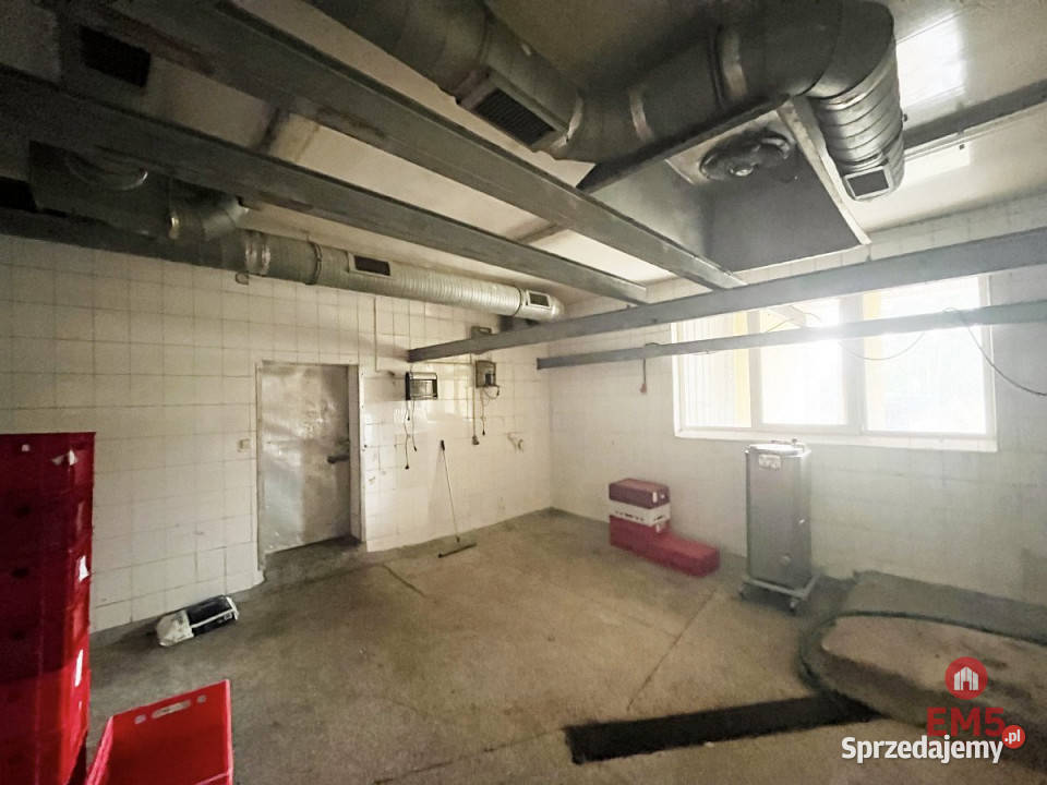 wynajmu lokalu Białystok 450m2