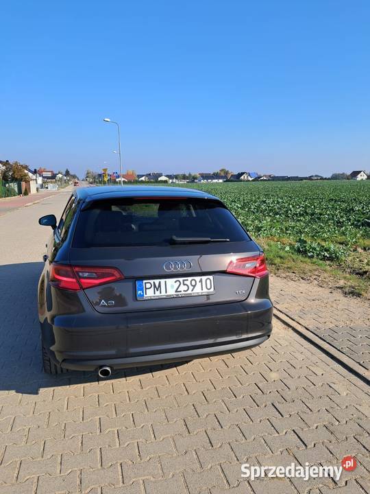 Audi a3 8v sportback Super stan Samochody osobowe Międzychód