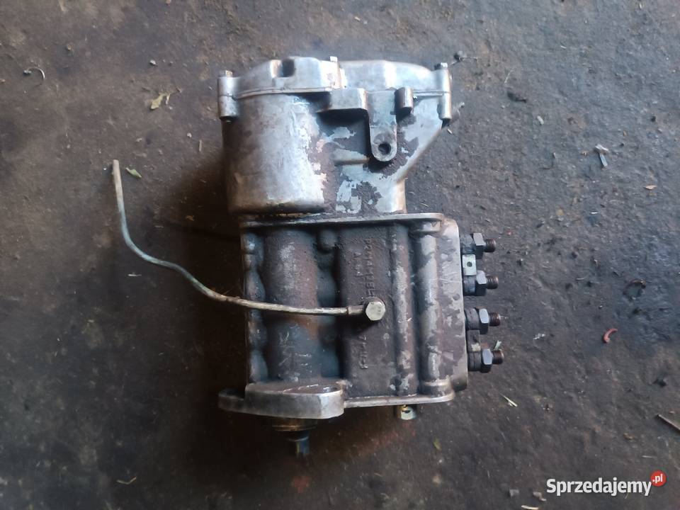 Sprzedam Sokola Dąbrowa