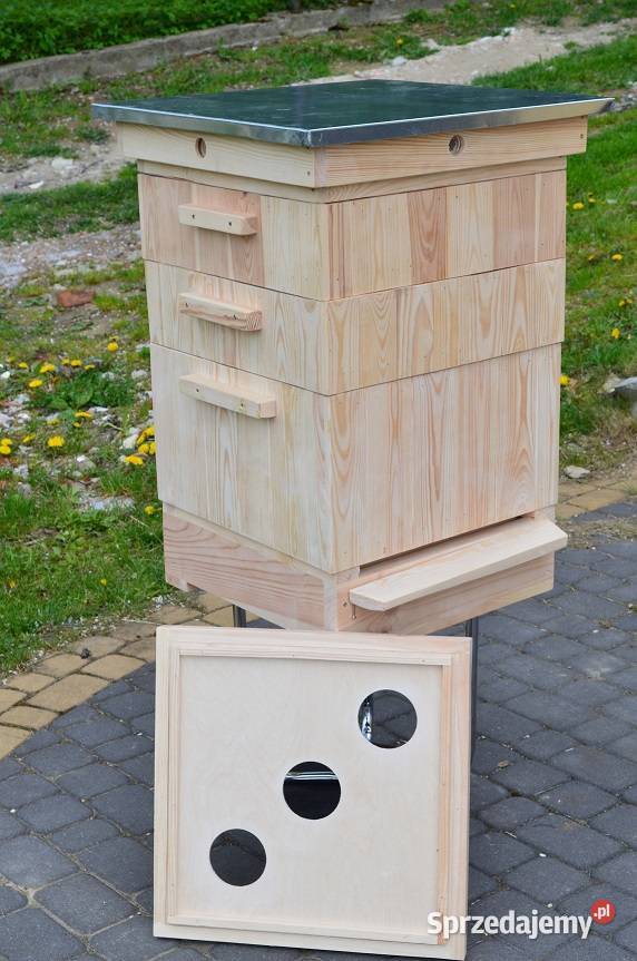 Ule wielkopolskie Pszczelarstwo Chełm