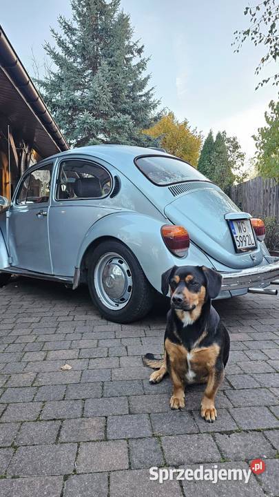 VW Volkswagen Garbus 1300 13L 44 benzyna zadbany