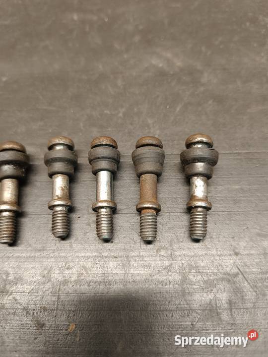 Śruby śrubki pokrywy magneta lewej silnik części Gołaczewy