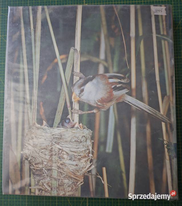 Sparnuociu Pasaulyje In the World of Birds Kraków