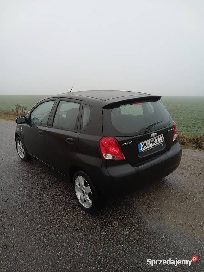 Kalos klima Piotrków Trybunalski
