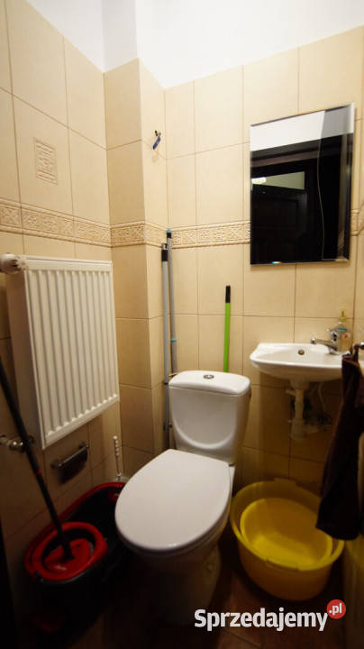 Do wynajęcia mieszkanie 150 m2 w Centrum Opola Opole