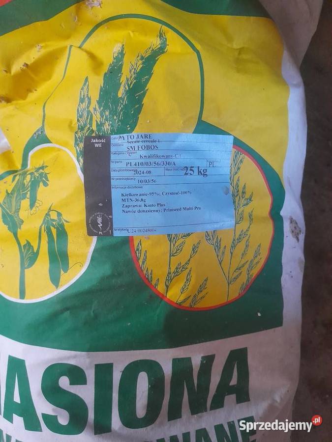 Sprzedam żyto jare łódzkie Kanice sprzedam