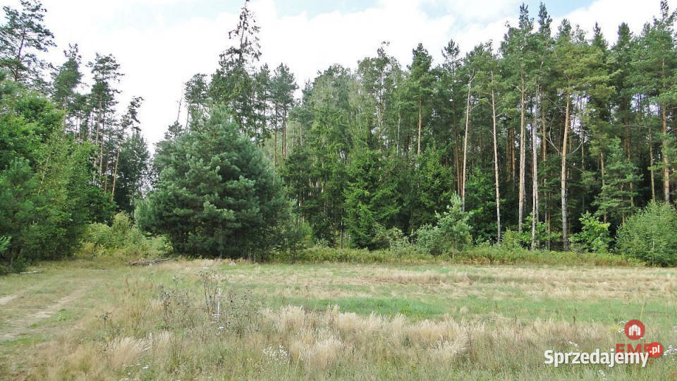 Grunt 10400m2 Zalesiany podlaskie