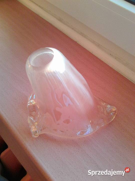 Szklany klosz Dom i Ogród