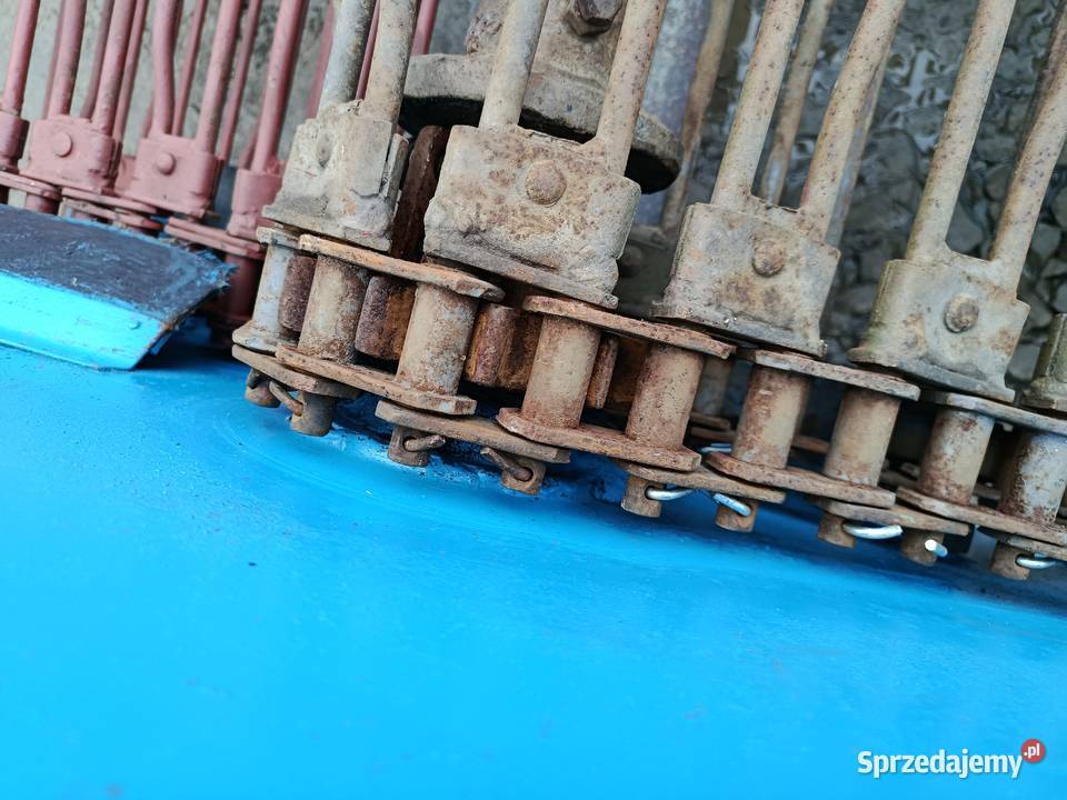Kopaczka elewatorowa taśmy metalowe transport Limanowa