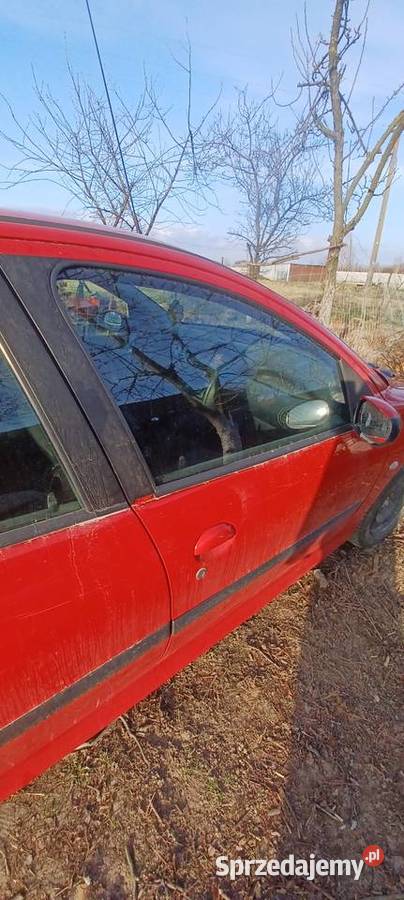 Drzwi peugeot 206