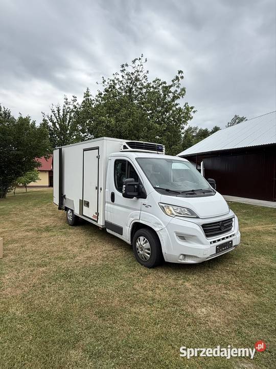 Fiat Ducato 23 chłodnia 2017 podkarpackie