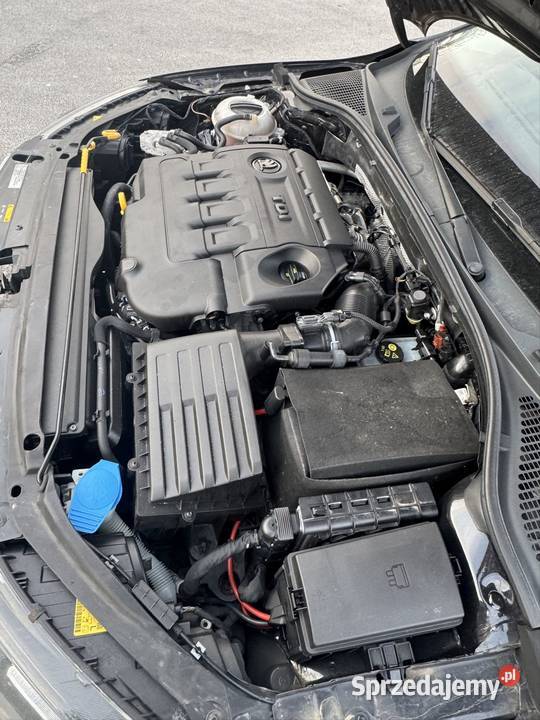 Skoda octavia małopolskie Zakopane