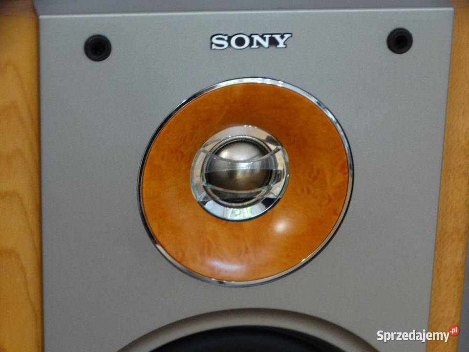 Kolumny Sony SSNX1 mocne i sprawne WYSYŁKA Jasło