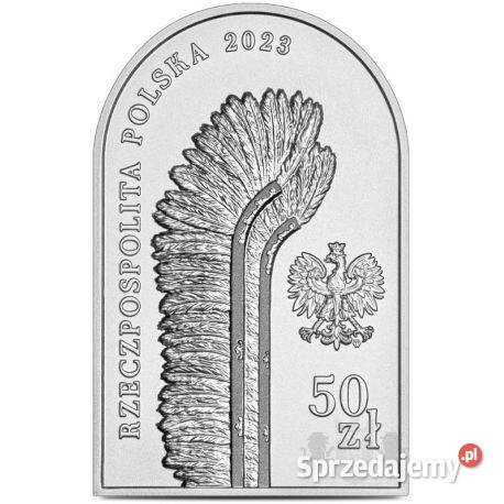 50 Odsiecz Wiedeńska Tychy