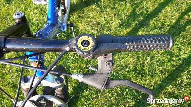 Rowery DWA w super Poznań Poznań