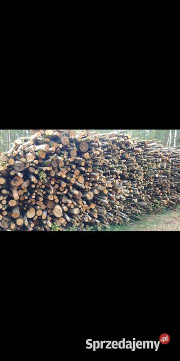 DREWNO OPAŁOWE na sprzedaż mazowieckie sprzedam