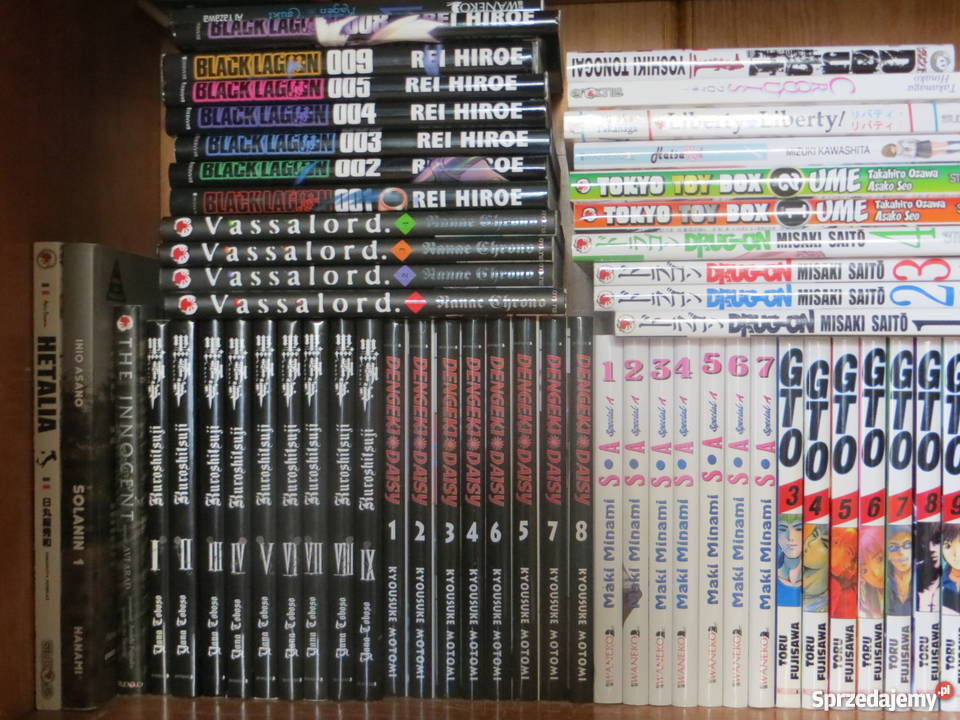 mangi hurtowo pojedynczo Złotoryja